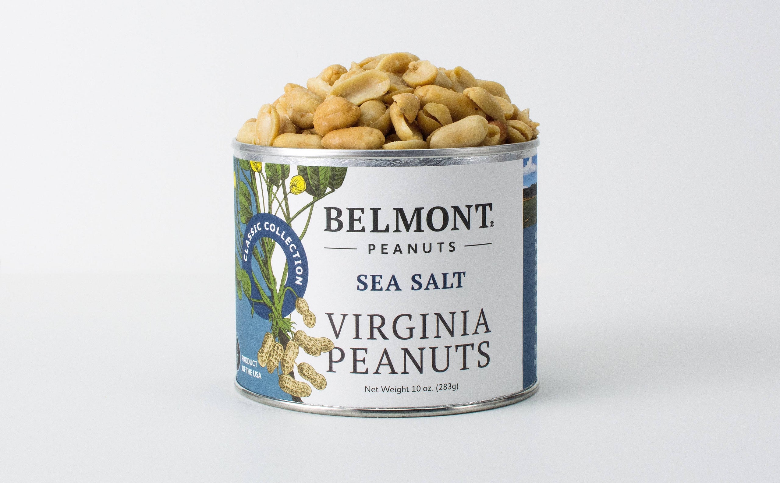 Belmont Peanuts Sea Salt Virginia Peanuts Virginia Museum of